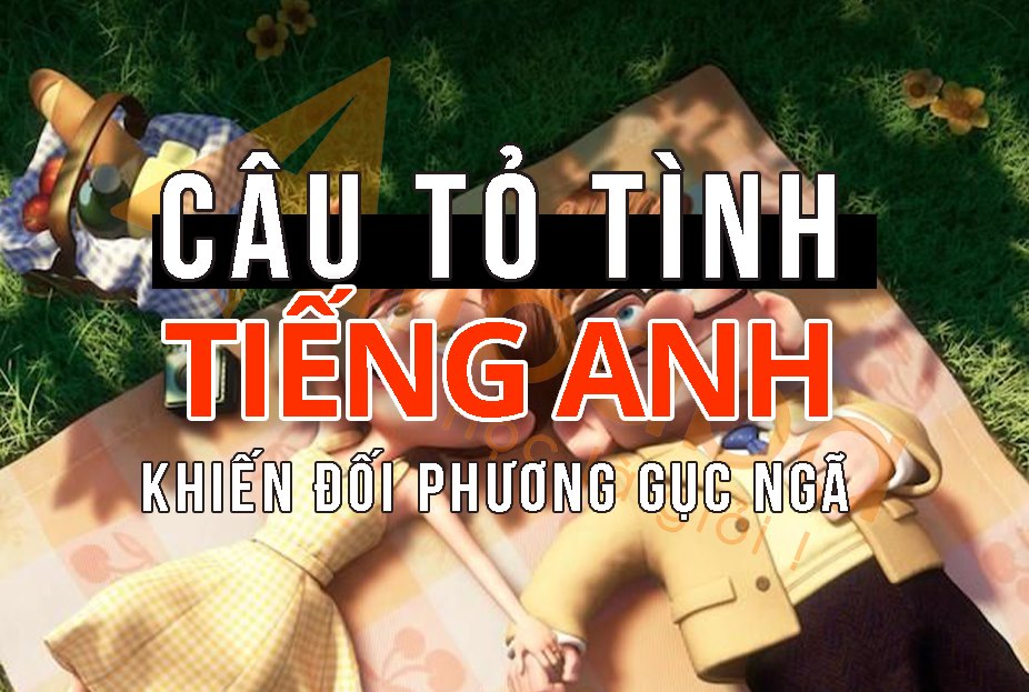 TOP NHỮNG CÂU TỎ TÌNH BẰNG TIẾNG ANH