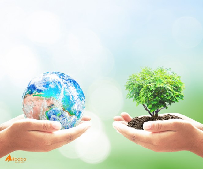 Nắm vững 50+ cụm từ IELTS chủ đề ENVIRONMENT