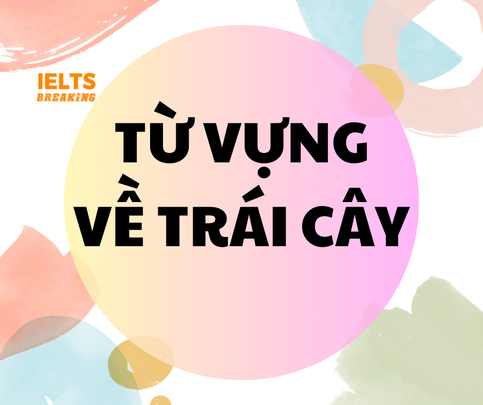 Quả vải trong tiếng Anh là gì. Một số từ vựng về trái cây trong tiếng Anh