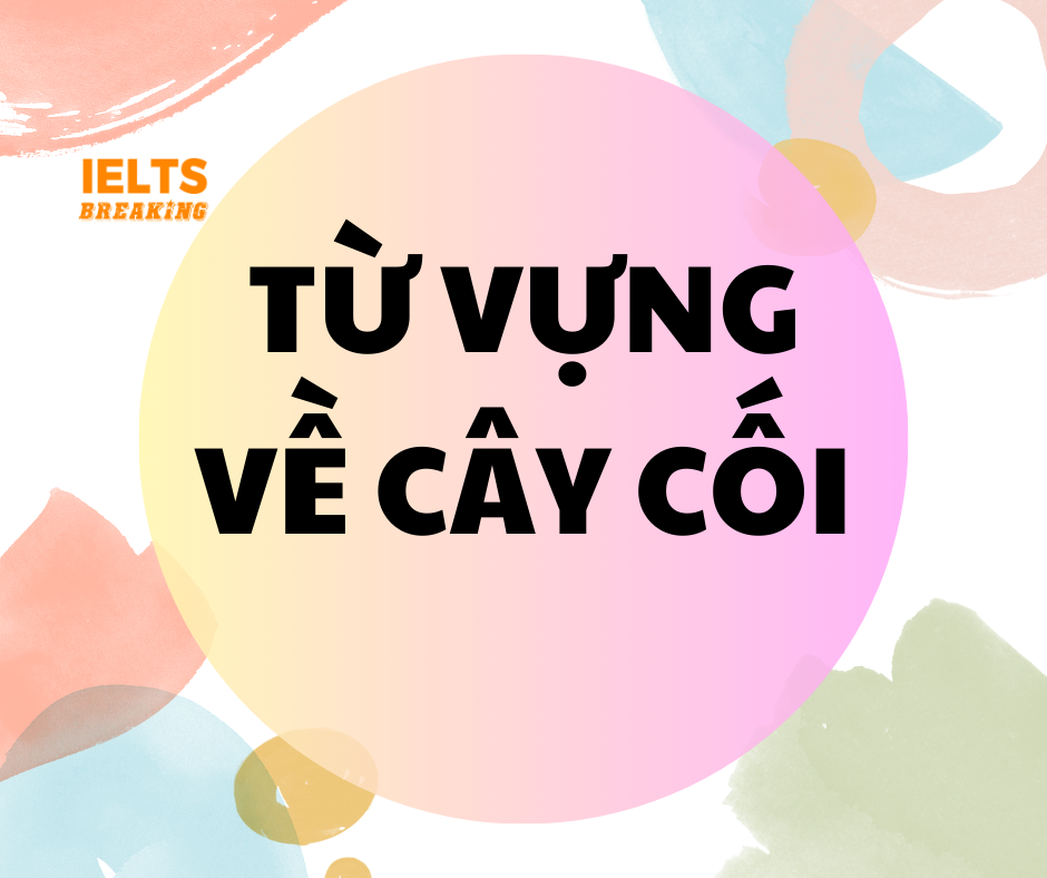 Từ vựng về các loại cây cối trong tiếng Anh