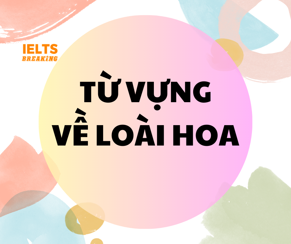 Từ vựng về những loài hoa trong tiếng Anh